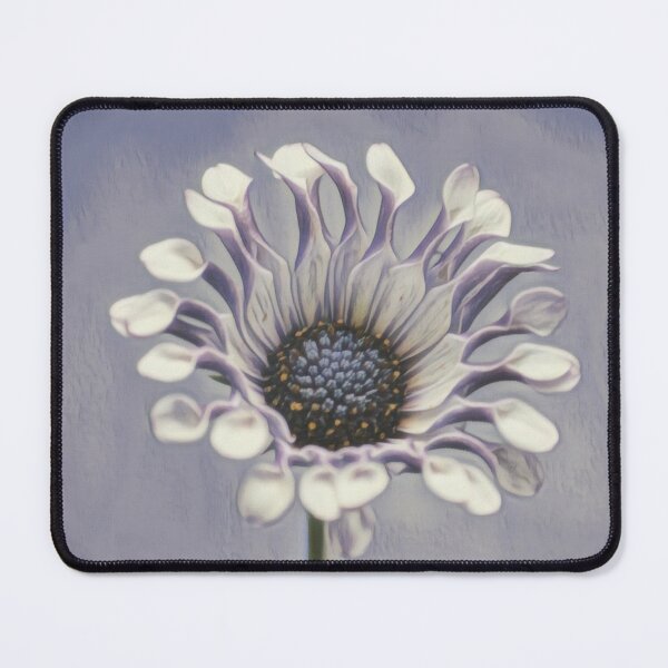 Item preview, African daisy designed and sold by NiekTraas.