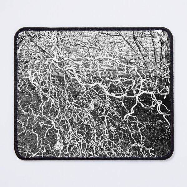 Item preview, Putting Down Roots? designed and sold by Alchemia.