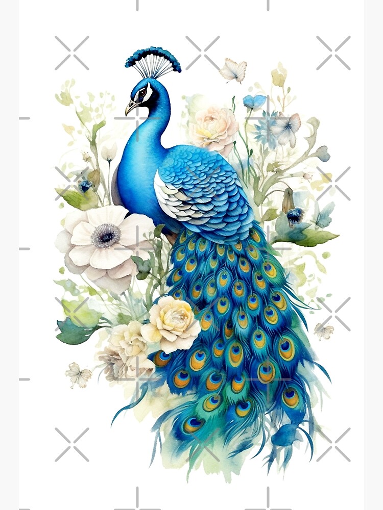 Peacock Note Cards, 4x6 inches, Set of 48