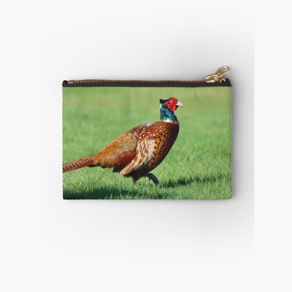 Item preview, Male pheasant designed and sold by GreyFeatherPhot.