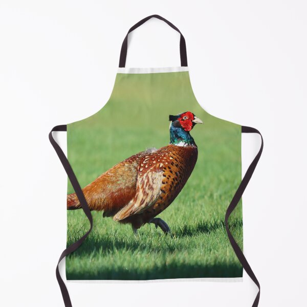Item preview, Male pheasant designed and sold by GreyFeatherPhot.