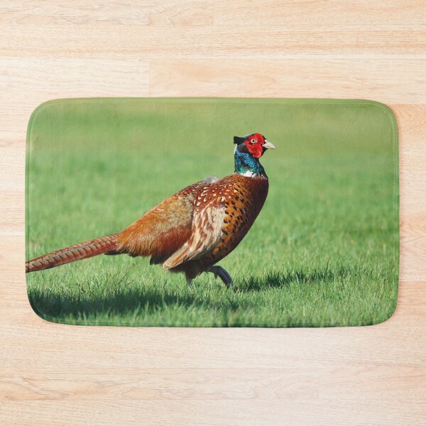 Item preview, Male pheasant designed and sold by GreyFeatherPhot.