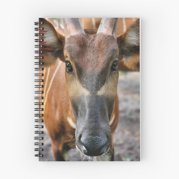 Item preview, Female Bongo Portrait designed and sold by RSCF.