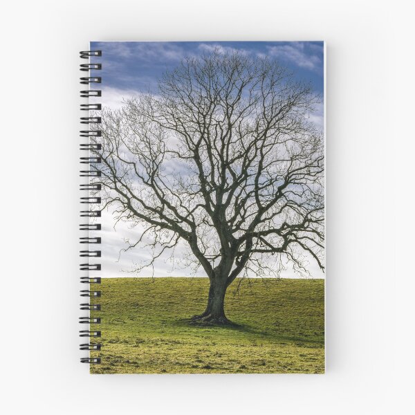 Item preview, Stand Proud designed and sold by cmphotographs.