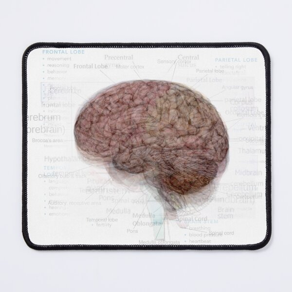 Item preview, Human Brain Overlay designed and sold by Steven Socha.