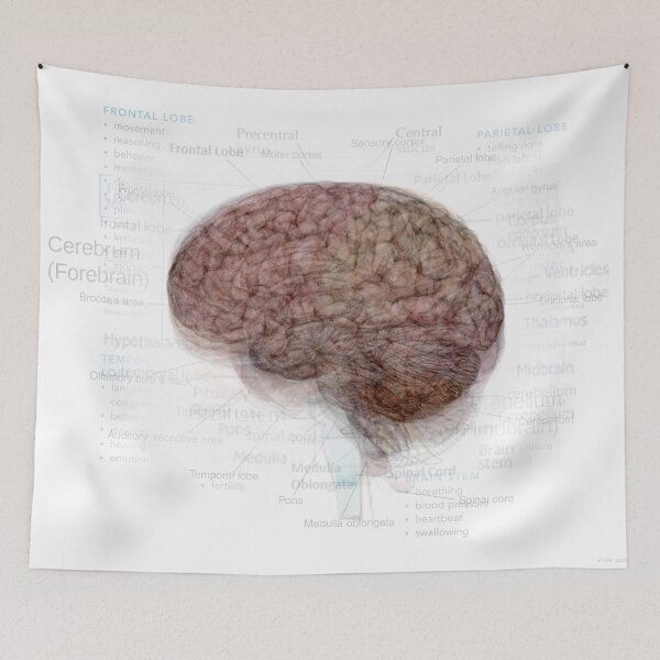 Item preview, Human Brain Overlay designed and sold by Steven Socha.