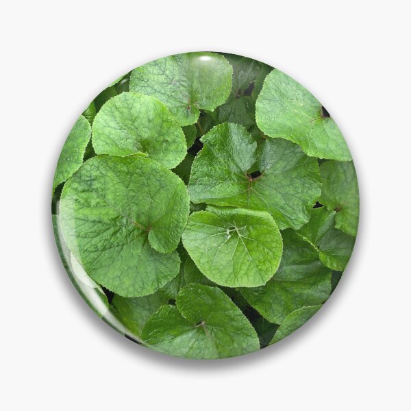 Item preview, Bed of Different Sized Green Leaves designed and sold by Sinemathk.