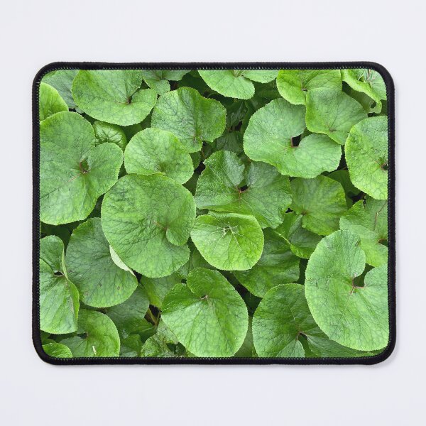 Item preview, Bed of Different Sized Green Leaves designed and sold by Sinemathk.