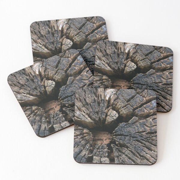 Item preview, cross section of the tree designed and sold by IgorKovalenko.