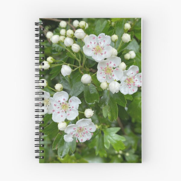 Item preview, White Oneseed Hawthorn Flowers designed and sold by Sinemathk.
