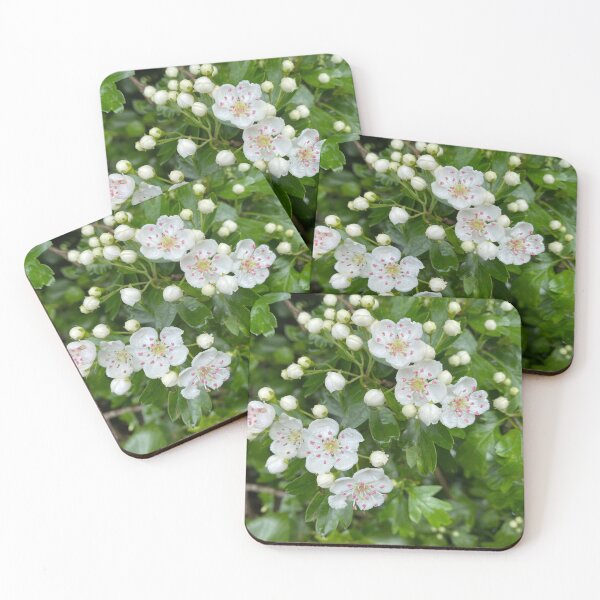 Item preview, White Oneseed Hawthorn Flowers designed and sold by Sinemathk.