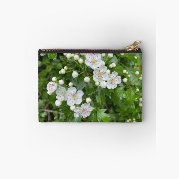 Item preview, White Oneseed Hawthorn Flowers designed and sold by Sinemathk.