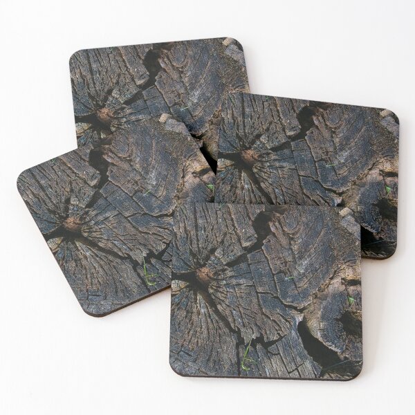 Item preview, cross section of the tree designed and sold by IgorKovalenko.