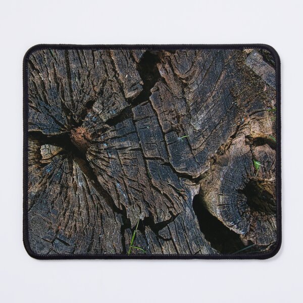 Item preview, cross section of the tree designed and sold by IgorKovalenko.