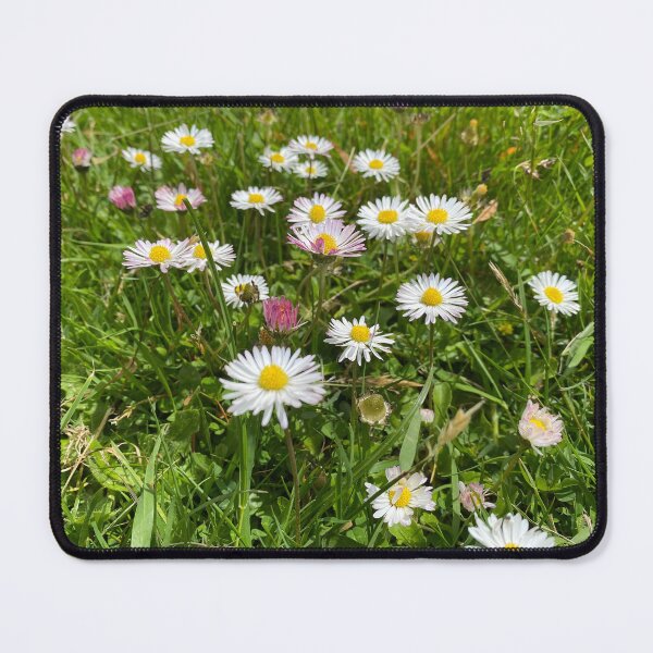 Item preview, White Daisy Flowers in Green Grass designed and sold by Sinemathk.