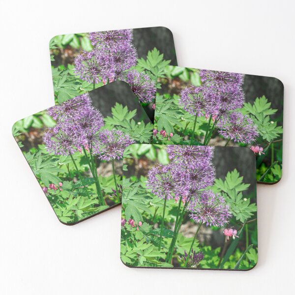 Item preview, Chive blooms designed and sold by SRosuphotos.