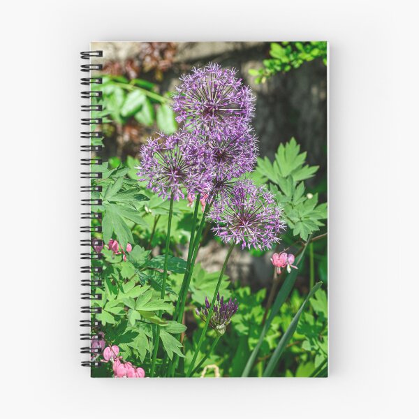 Item preview, Chive blooms designed and sold by SRosuphotos.