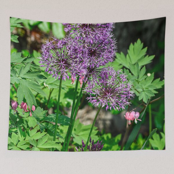Item preview, Chive blooms designed and sold by SRosuphotos.