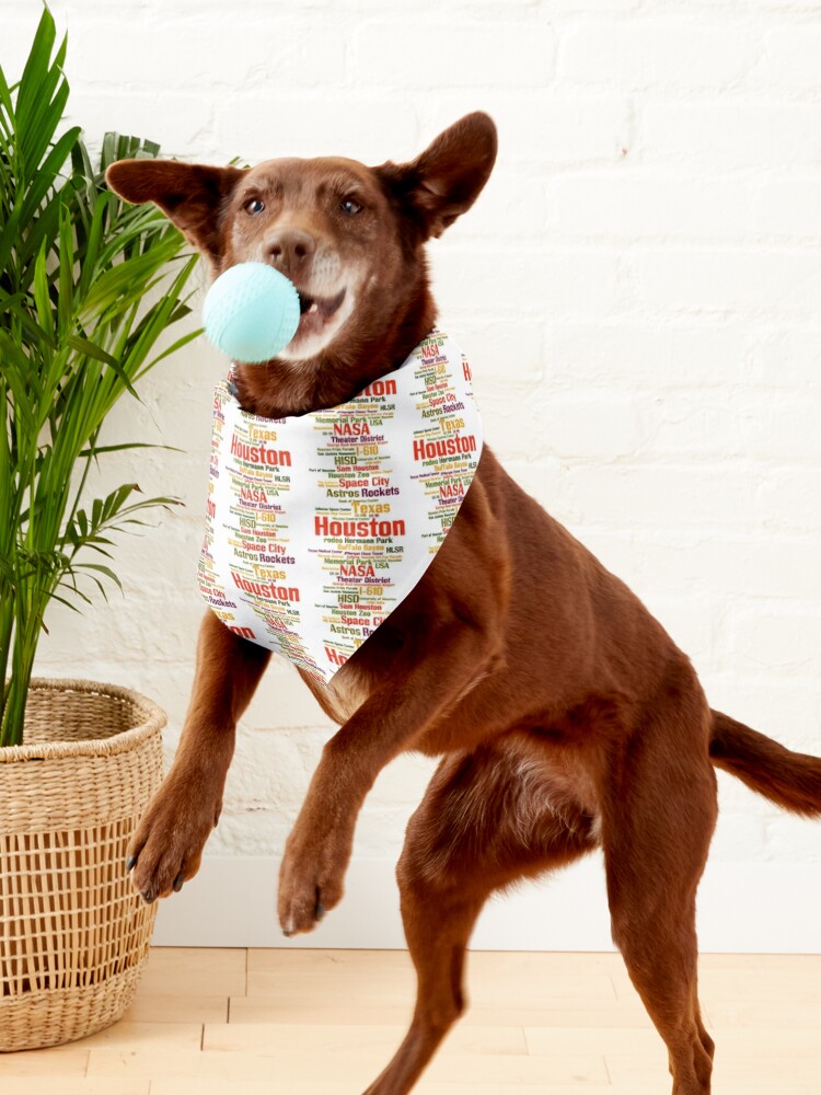 Space City Dog Bandana