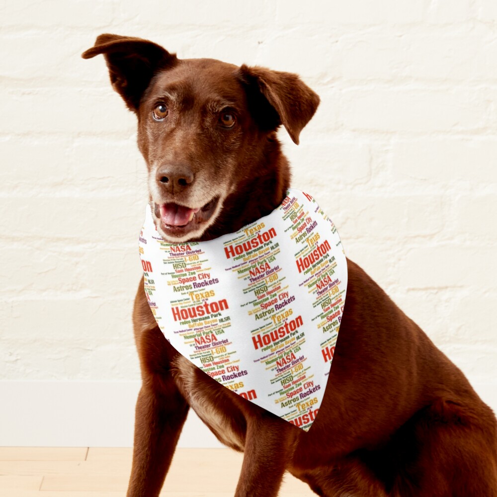 Space City Dog Bandana