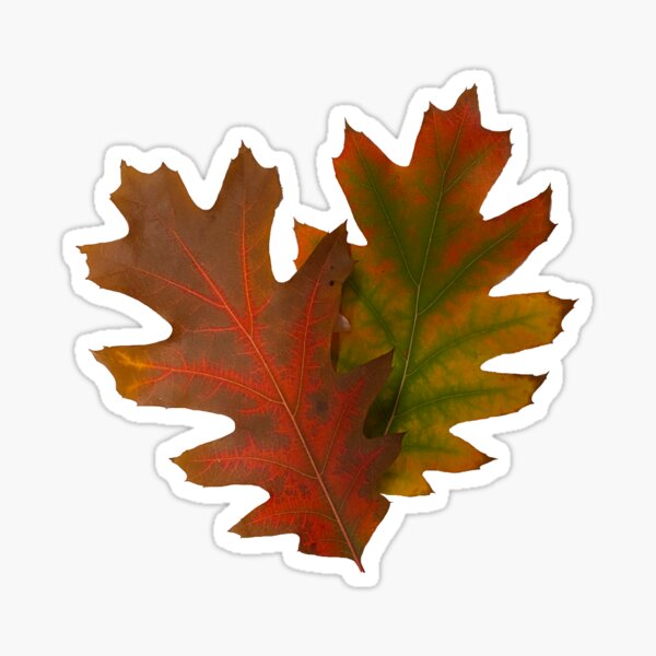 Item preview, Two leaves designed and sold by indiafrankk.