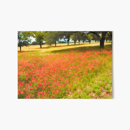 Texas Wildflowers Art Board Print