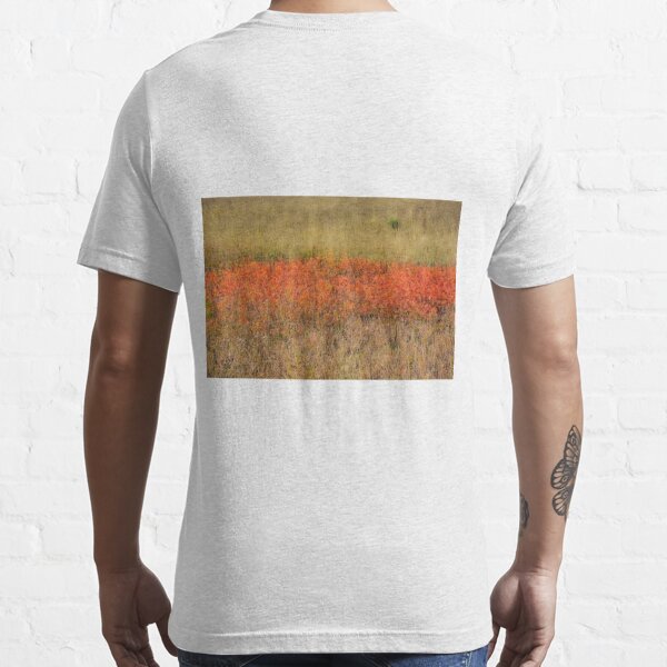 rothko t shirt