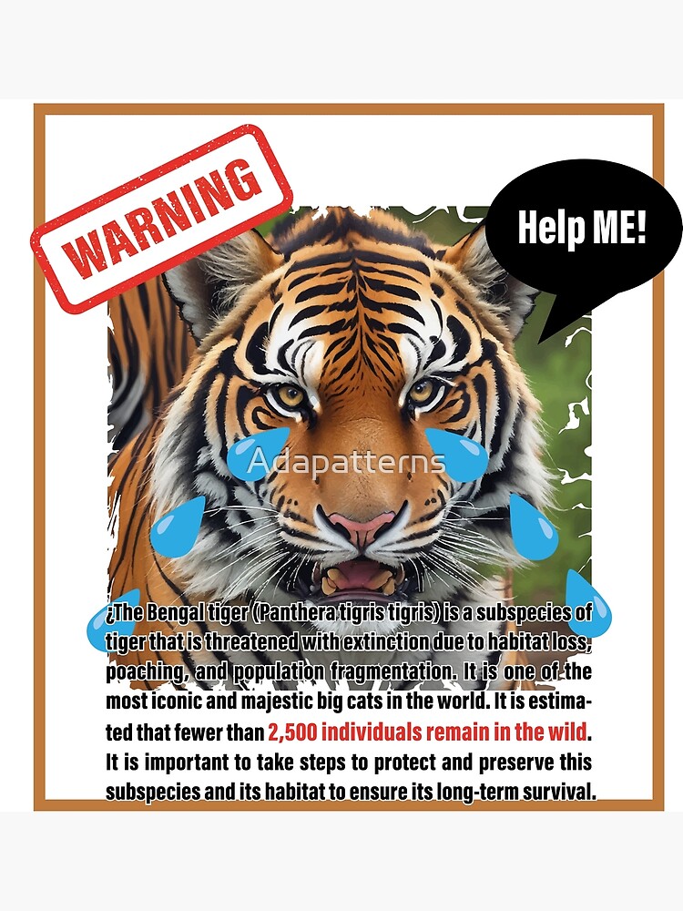 Bengal Tiger Poster Print / Infographic