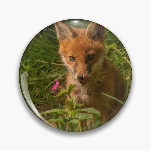 Item preview, Fox cubs and flowers. designed and sold by JoHackman.