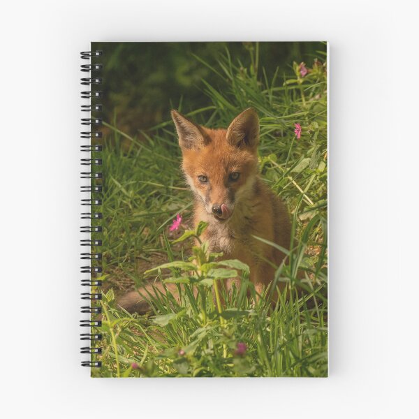 Item preview, Fox cubs and flowers. designed and sold by JoHackman.