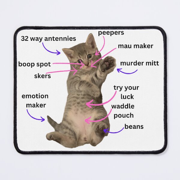 Item preview, Cat Anatomy designed and sold by Shelter-Friends.