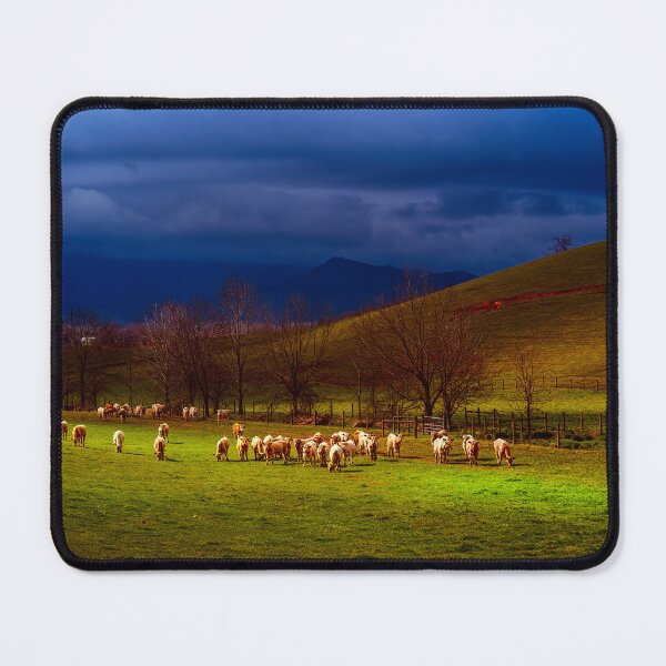 Item preview, Spotlight On The Herd designed and sold by Jim Love.