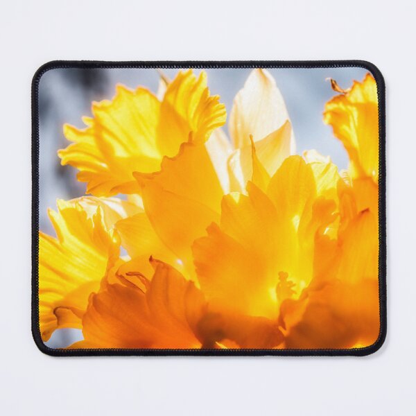 Item preview, Hello Spring designed and sold by Jim Love.
