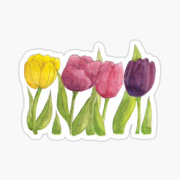 Watercolor Tulips Sticker