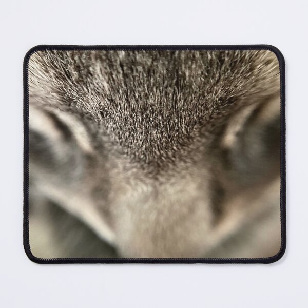 Item preview, Sweet Sleeping Cat designed and sold by cats-and-clouds.