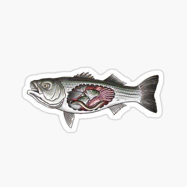 Vista previa del artículo con la obra «Bajo rayado Eres lo que comes», diseñado y vendido por MFishhooktattoo.