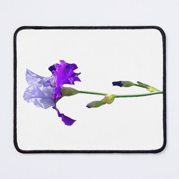 Item preview, Iris  designed and sold by Amanda1775.