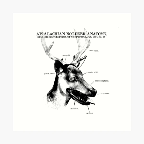 Not-Deer Anatomy Art Print for Sale by beckysgoulash