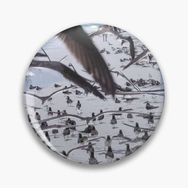 Item preview, Flocking Black Skimmers 1 designed and sold by Jeffrey Mask.