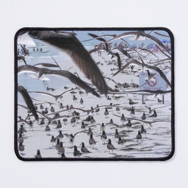 Item preview, Flocking Black Skimmers 1 designed and sold by Jeffrey Mask.