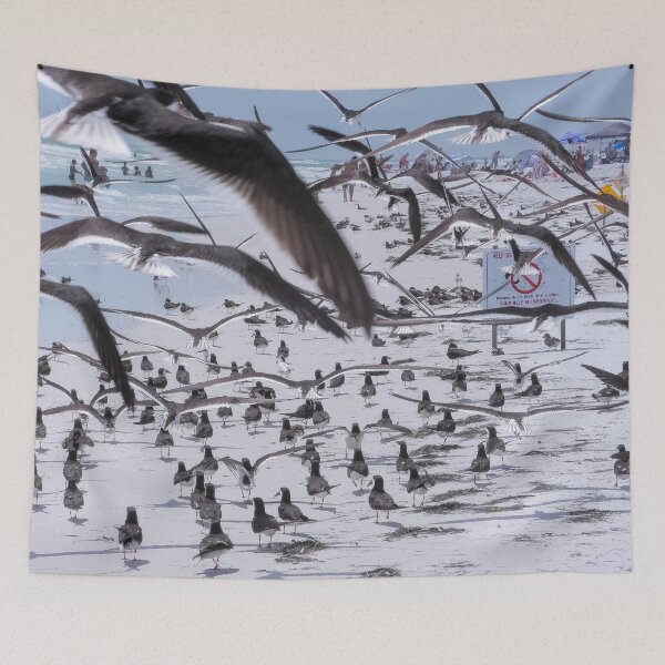 Item preview, Flocking Black Skimmers 1 designed and sold by Jeffrey Mask.