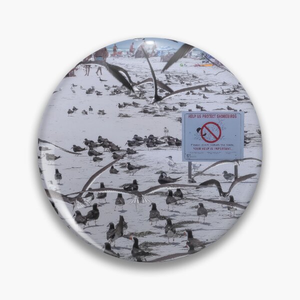 Item preview, Black Skimmers 2 designed and sold by Jeffrey Mask.