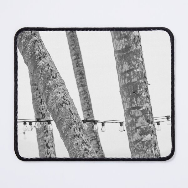 Item preview, String of Lights through the Palm Trees, Palm Cove, Queensland designed and sold by Liza Clements Photographic.