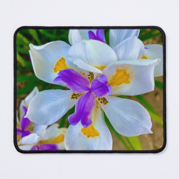 Item preview, Wonders of White Irises designed and sold by MelanieReiff.