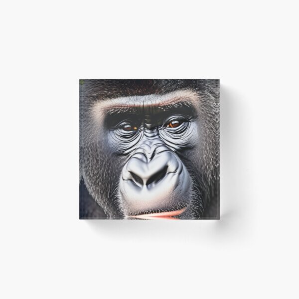 Gorilla Acrylic Block