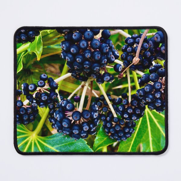 Item preview, Beautiful Bunches of Berries designed and sold by MelanieReiff.