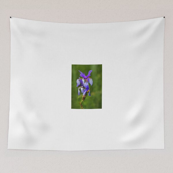 Item preview, Iris Sibirica designed and sold by SmoothBreeze7 | Liz Collet Photography.