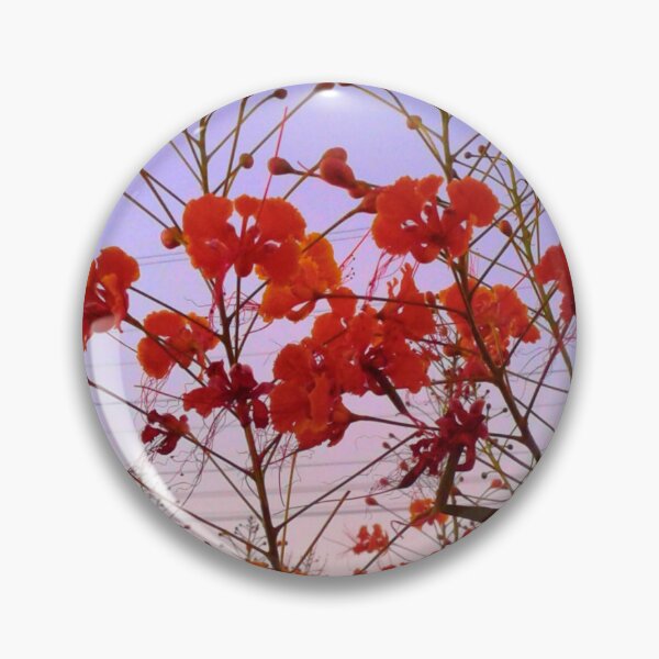 Item preview, Red Peacock Flowers Under a Blended Afternoon Sky designed and sold by LeiAndidesigns.