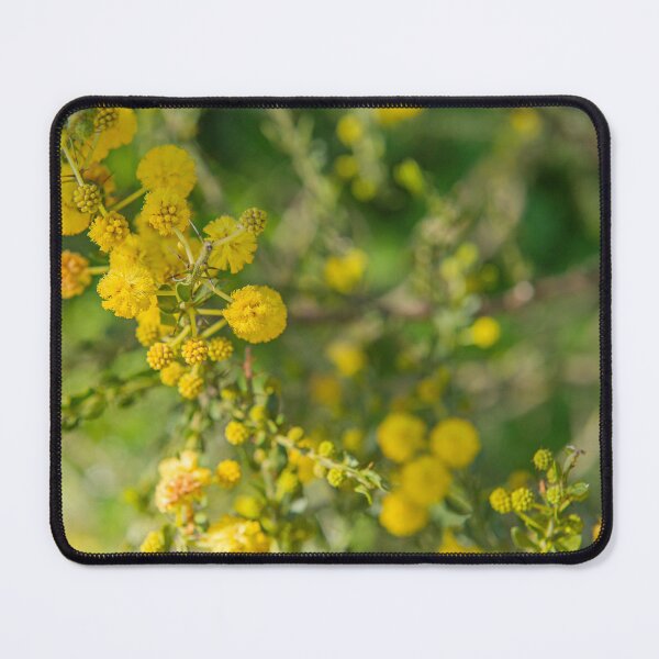 Item preview, Australian wattle, golden yellow designed and sold by Liza Clements Photographic.