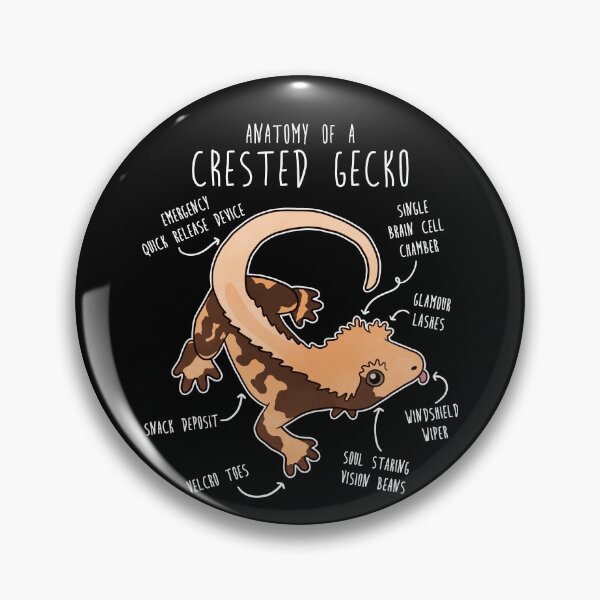 Item preview, Crested Gecko Lizard Reptile Anatomy designed and sold by Clara Hollins.
